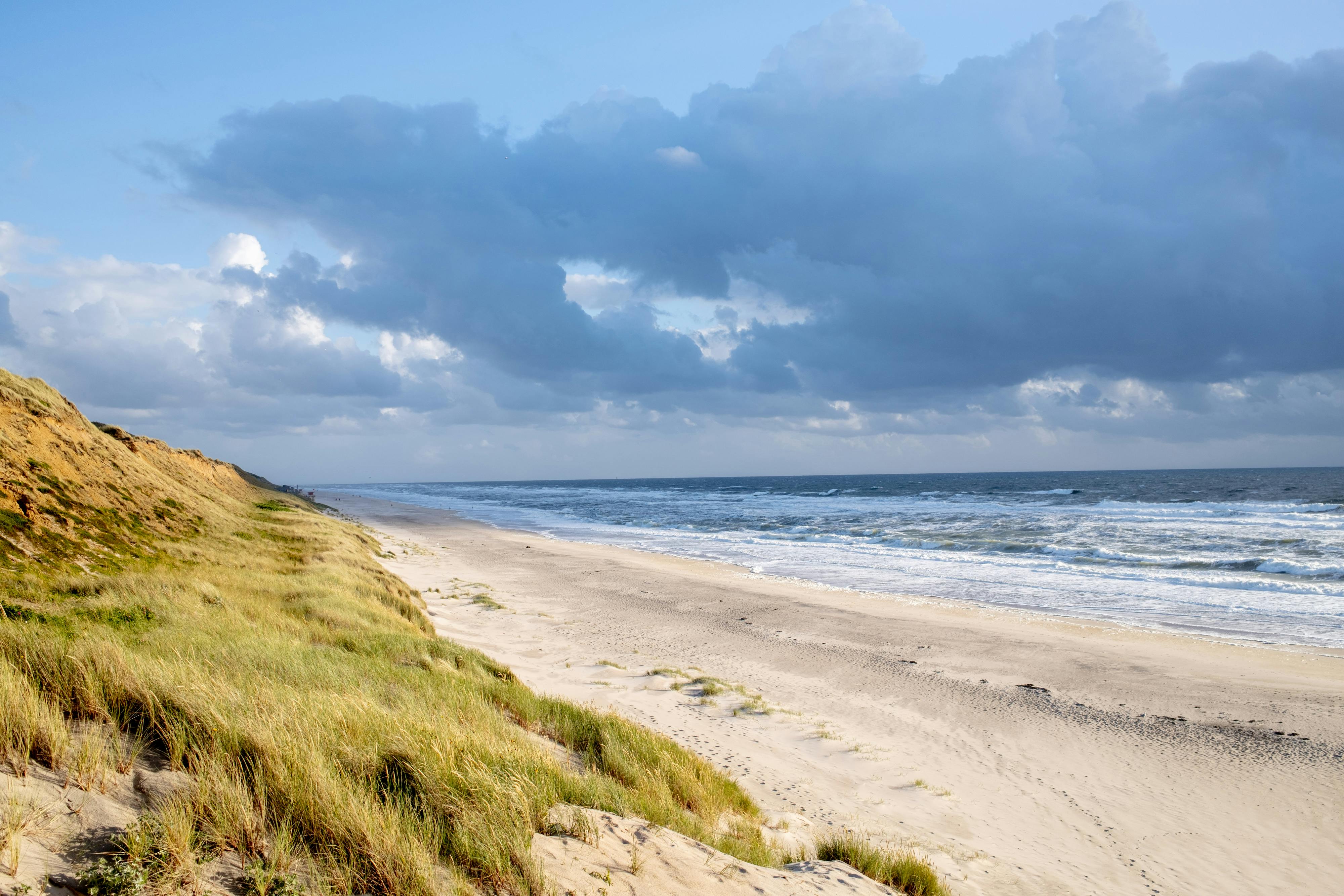 Duinlandschap aan de Nederlandse kust